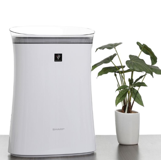 Máy lọc không khí Sharp FP-F40E-W