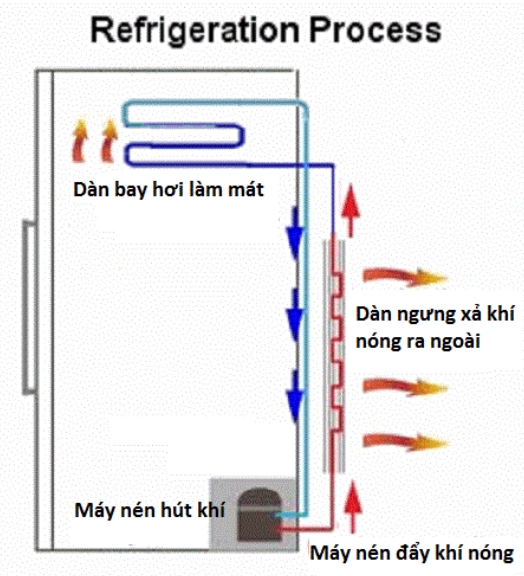 Nguyên lý hoạt động của chiếc tủ lạnh