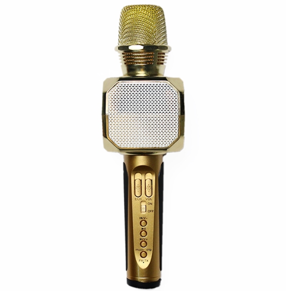 Micro Karaoke Kiêm Loa Bluetooth SD-10