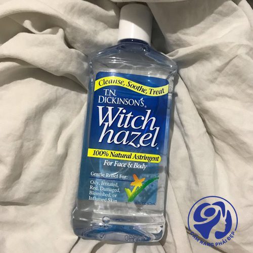 T.N.Dickinson's Witch Hazel Astringent